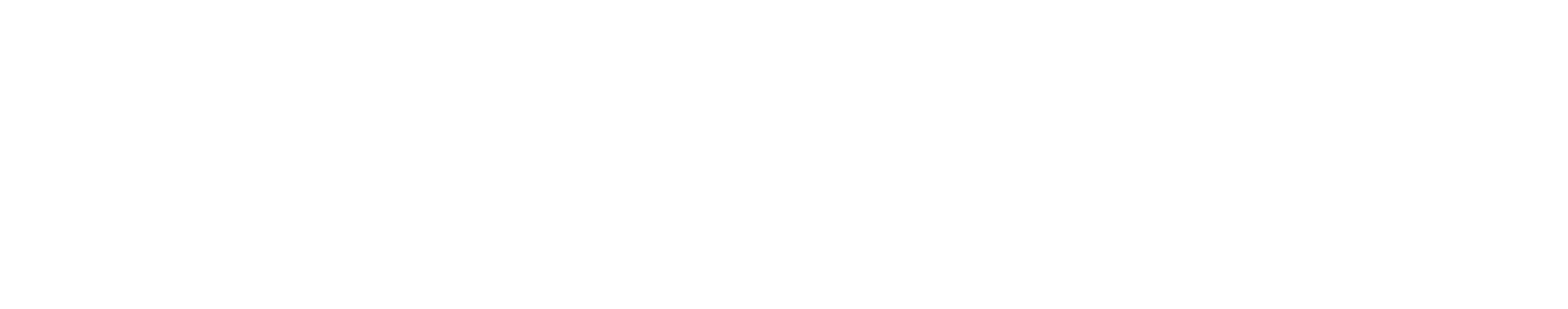 CYBER HISTORY